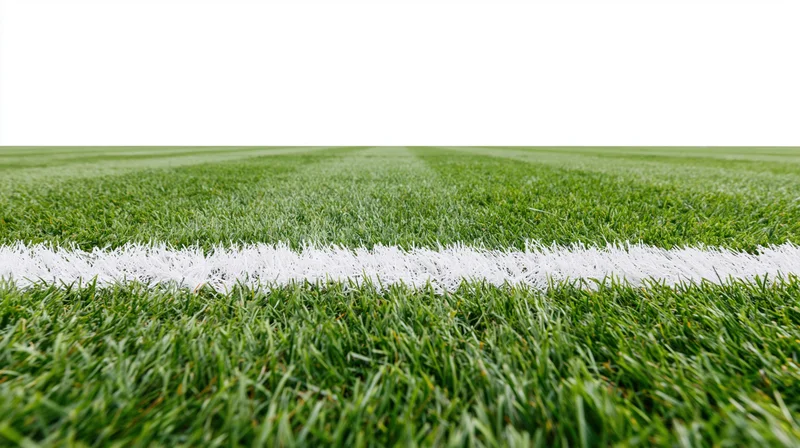 Close-up ground-level view of a football pitch with a white boundary line on green grass