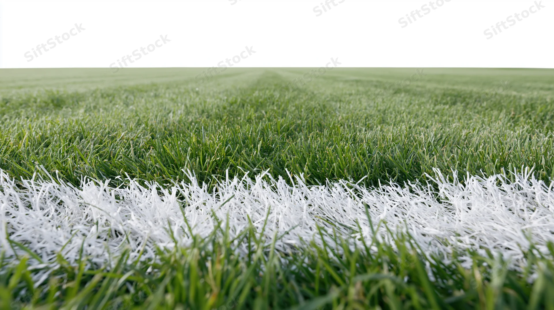 Close-up ground-level view of a football pitch with white boundary line on green grass