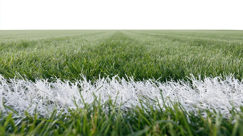 Close-up ground-level view of a football pitch with white boundary line on green grass