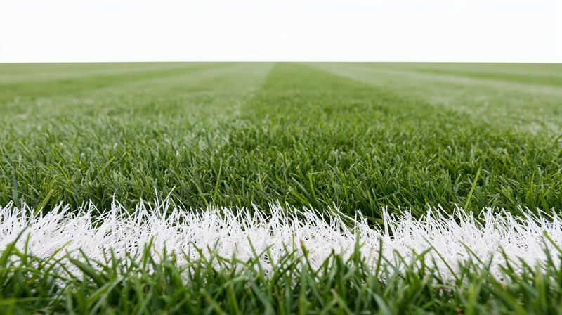 Close-up ground-level view of a professional football pitch with white boundary line and mowed green grass extending into the distance