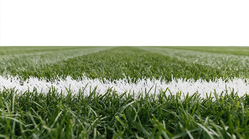 Close-up ground-level view of a football pitch with white boundary line on green grass