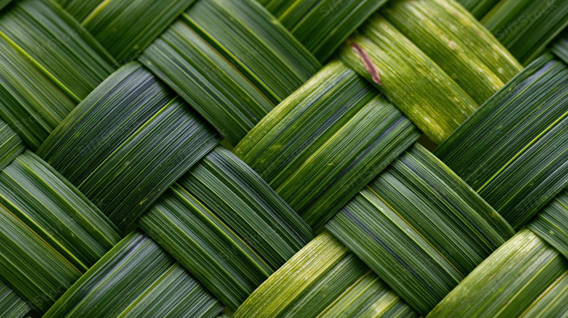 Close-up of woven palm leaves forming a textured natural pattern