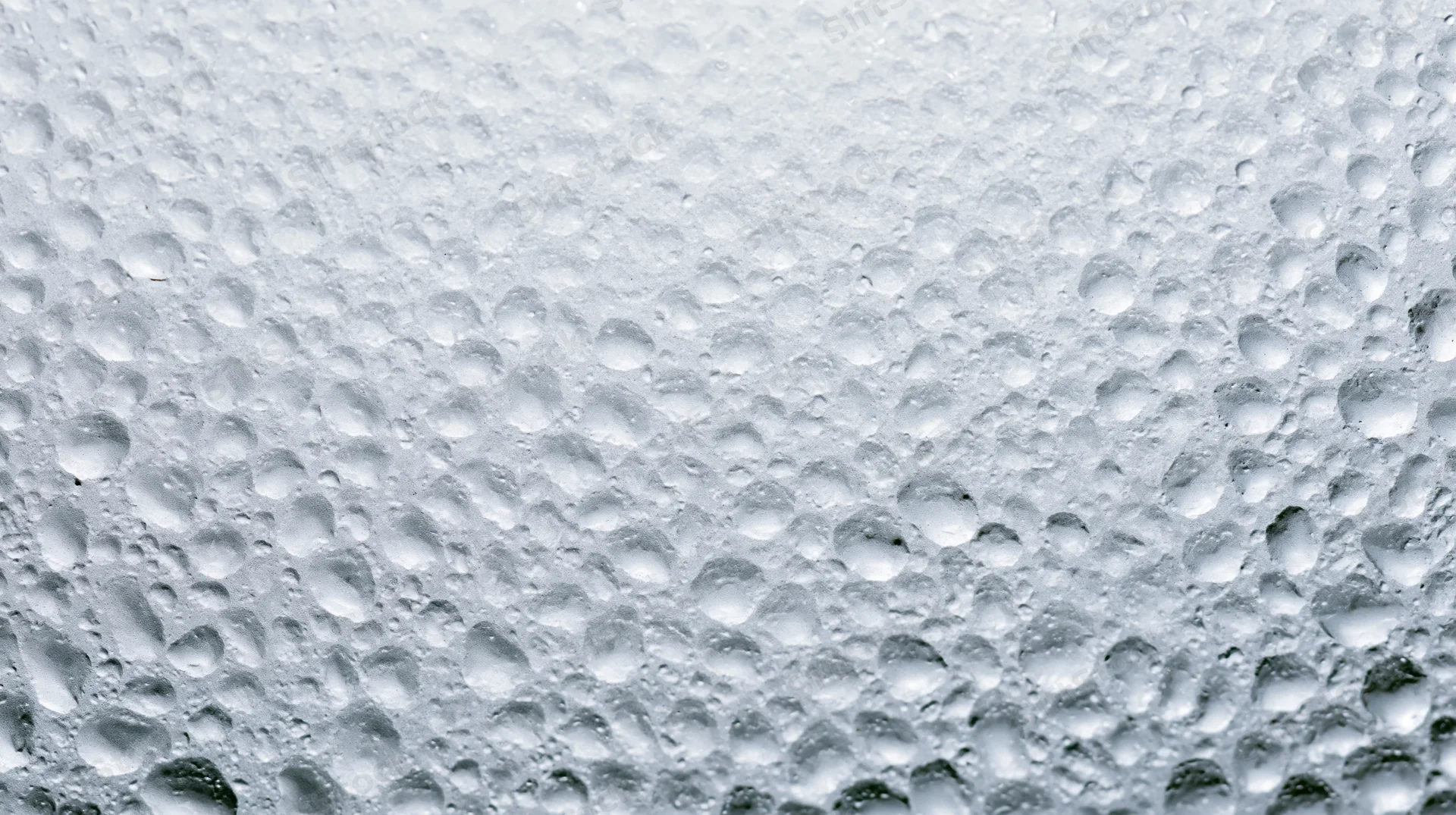 Close-up of water condensation droplets on a smooth surface