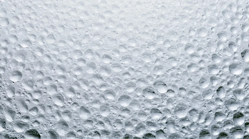 Close-up of water condensation droplets on a smooth surface