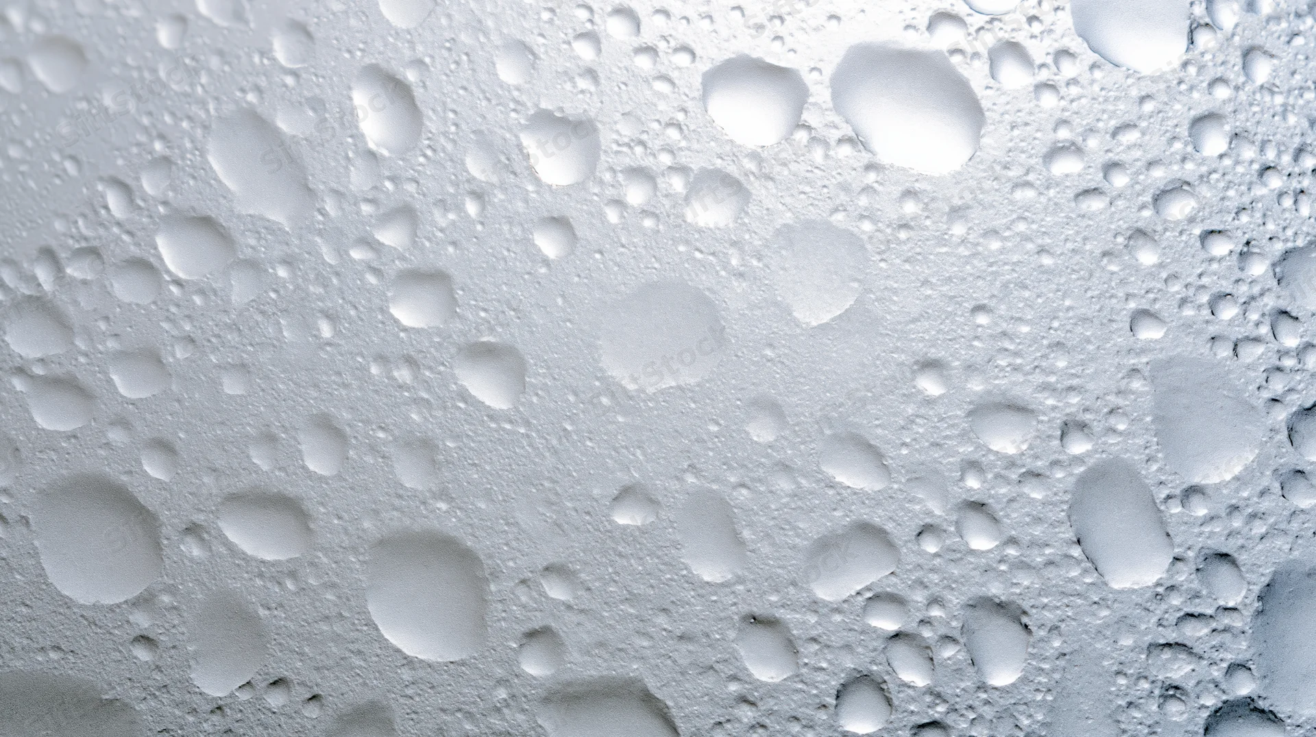 Close-up of water condensation droplets on a smooth surface