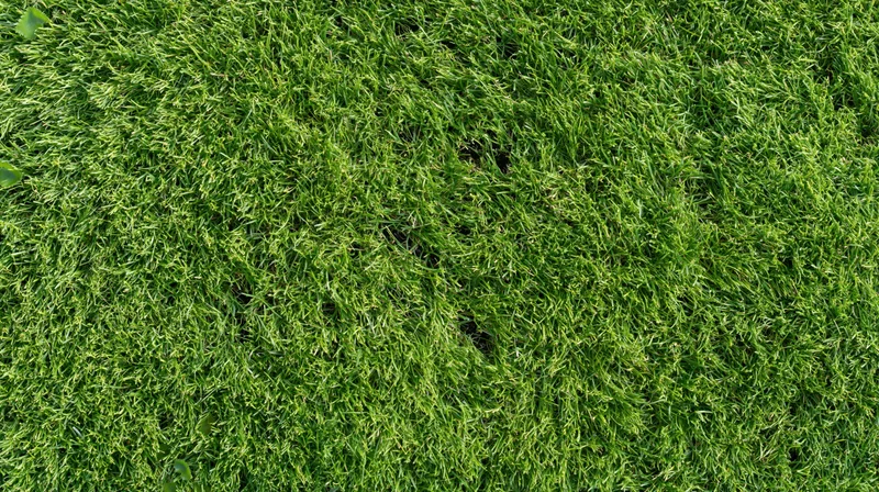 Close-up overhead view of freshly cut green grass lawn surface