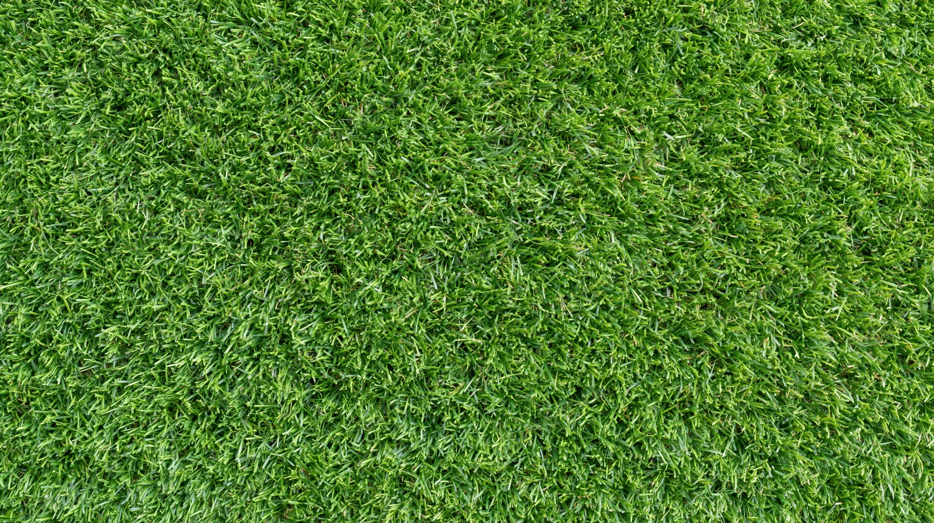 Close-up overhead view of freshly mowed short green grass covering the ground