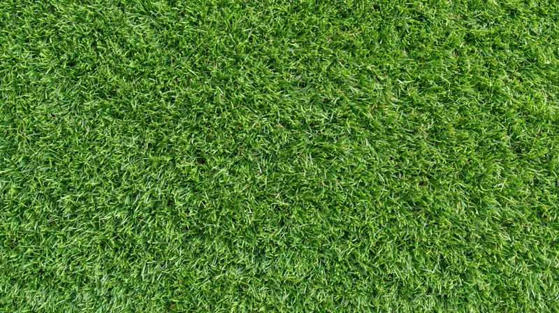 Close-up overhead view of freshly mowed short green grass covering the ground