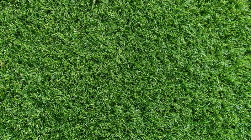 Close-up overhead view of freshly mowed short green grass covering the ground