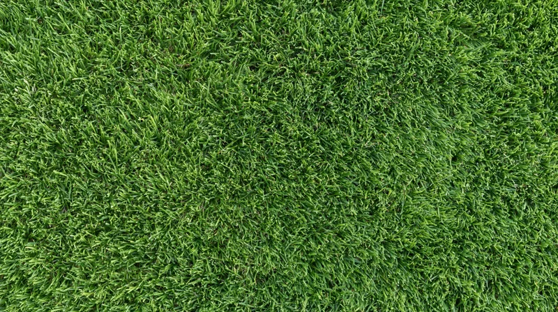 Close-up overhead view of short-trimmed green grass covering the ground