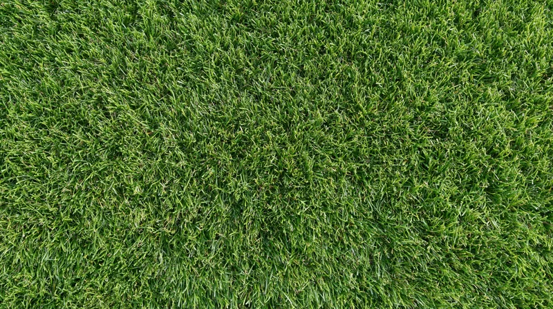 Overhead closeup of short-trimmed green grass covering the ground