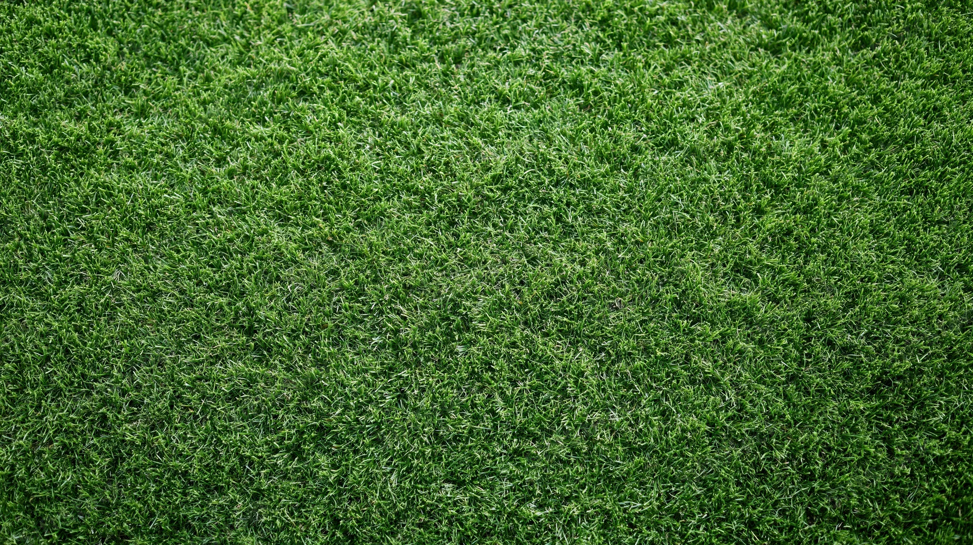 Overhead view of closely mown green grass covering the entire frame