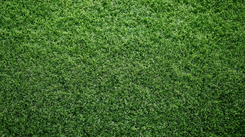 Overhead view of closely mown green grass covering the entire frame