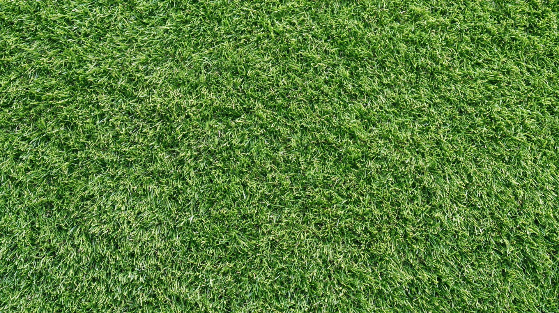 Overhead view of closely mown green grass surface filling the frame