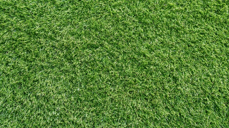 Overhead view of closely mown green grass surface filling the frame