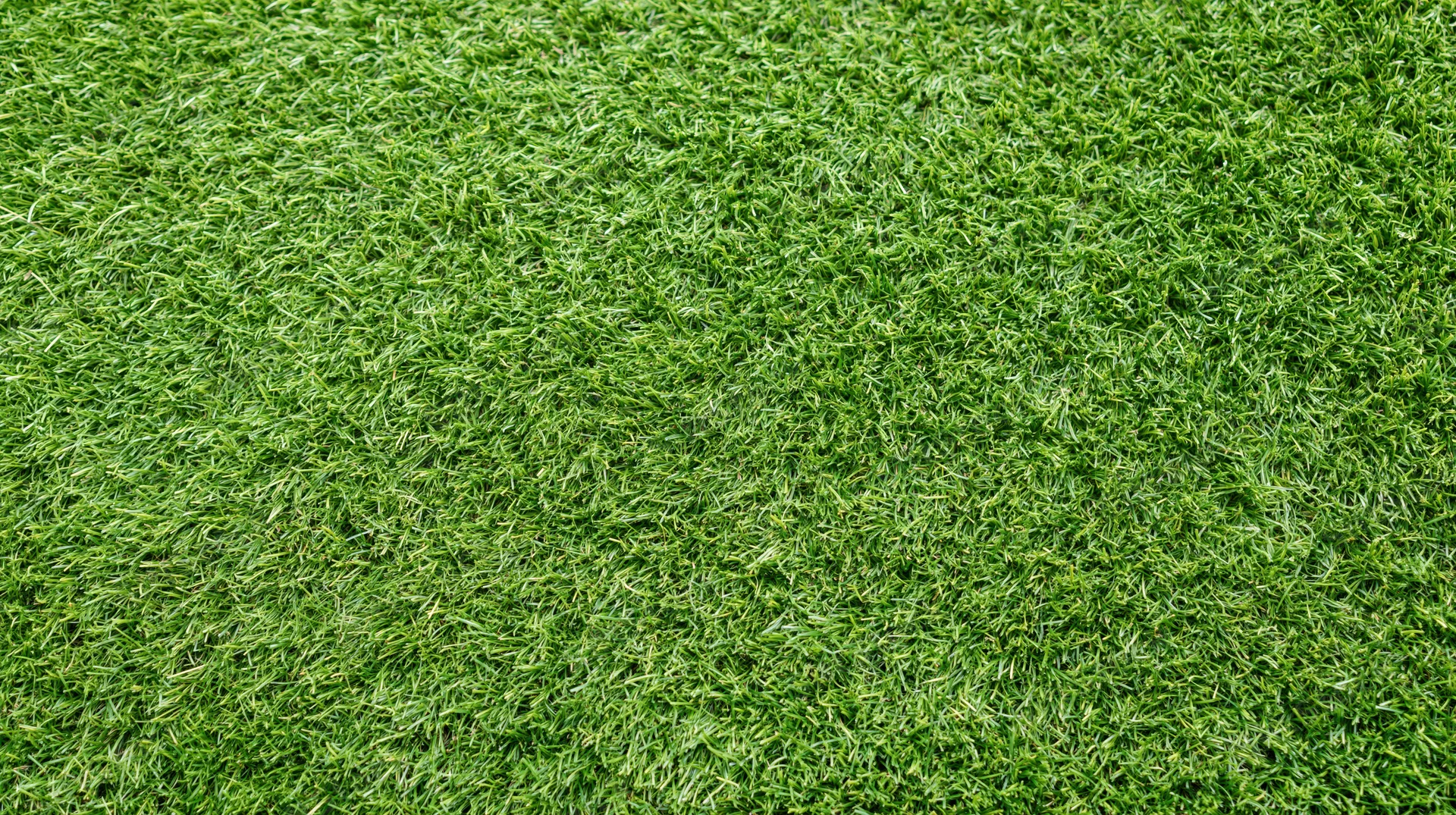 Overhead view of closely mown green grass surface filling the frame