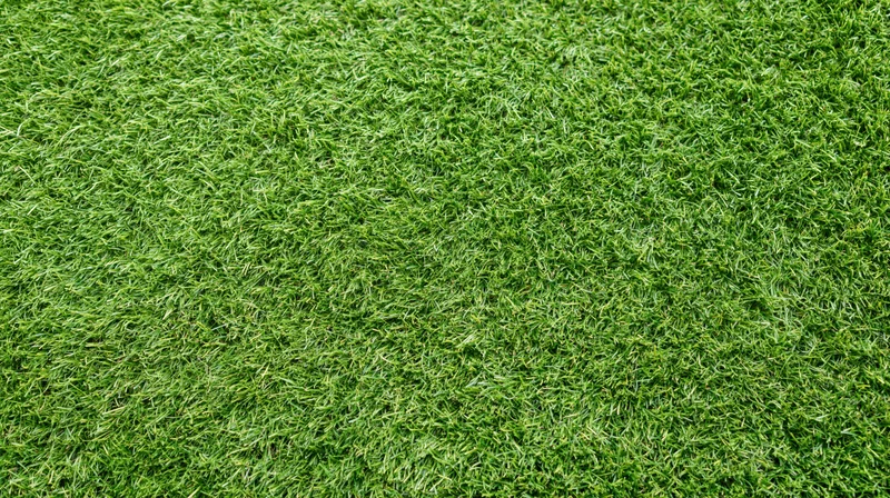 Overhead view of closely mown green grass surface filling the frame