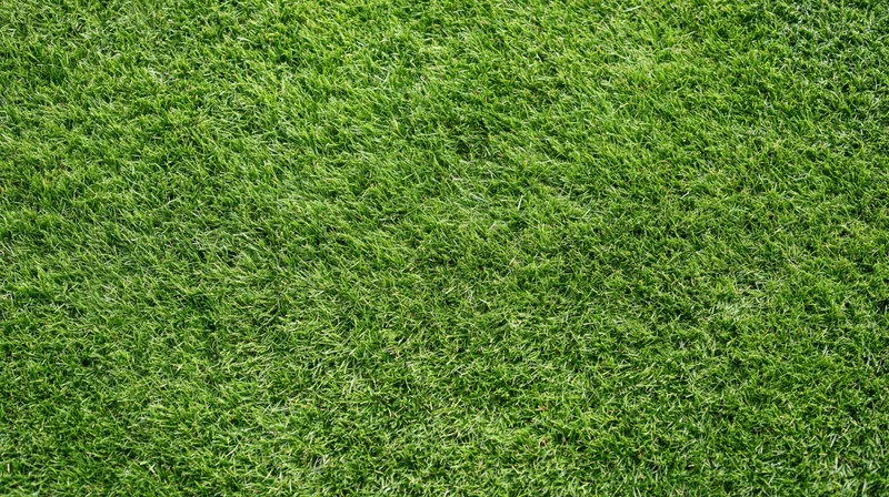 Overhead view of closely mown green grass covering the entire frame