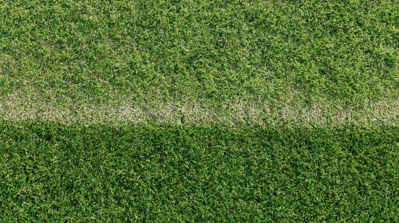 Closely mown grass surface filling the frame with visible striped pattern from mowing