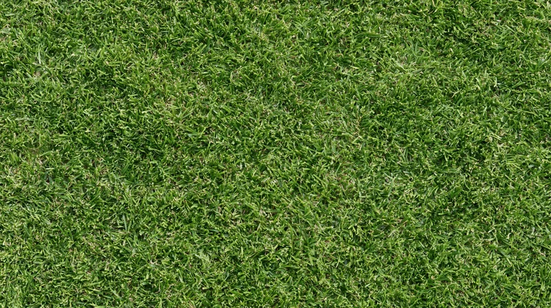 Closeup of closely mown green grass surface filling the frame
