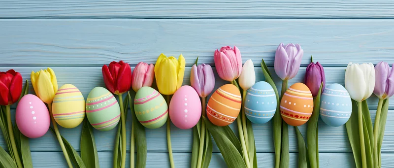 Colorful painted easter eggs and fresh tulips arranged in a row on a blue wooden surface