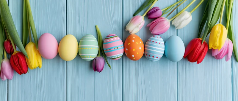 Colorful painted easter eggs and fresh tulips arranged in a row on a blue wooden surface