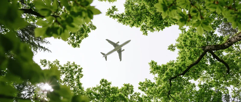 Airplane flying overhead viewed through green tree canopy in forest