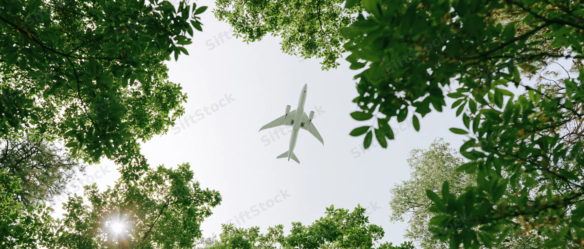 Commercial airplane flying overhead viewed through green tree canopy