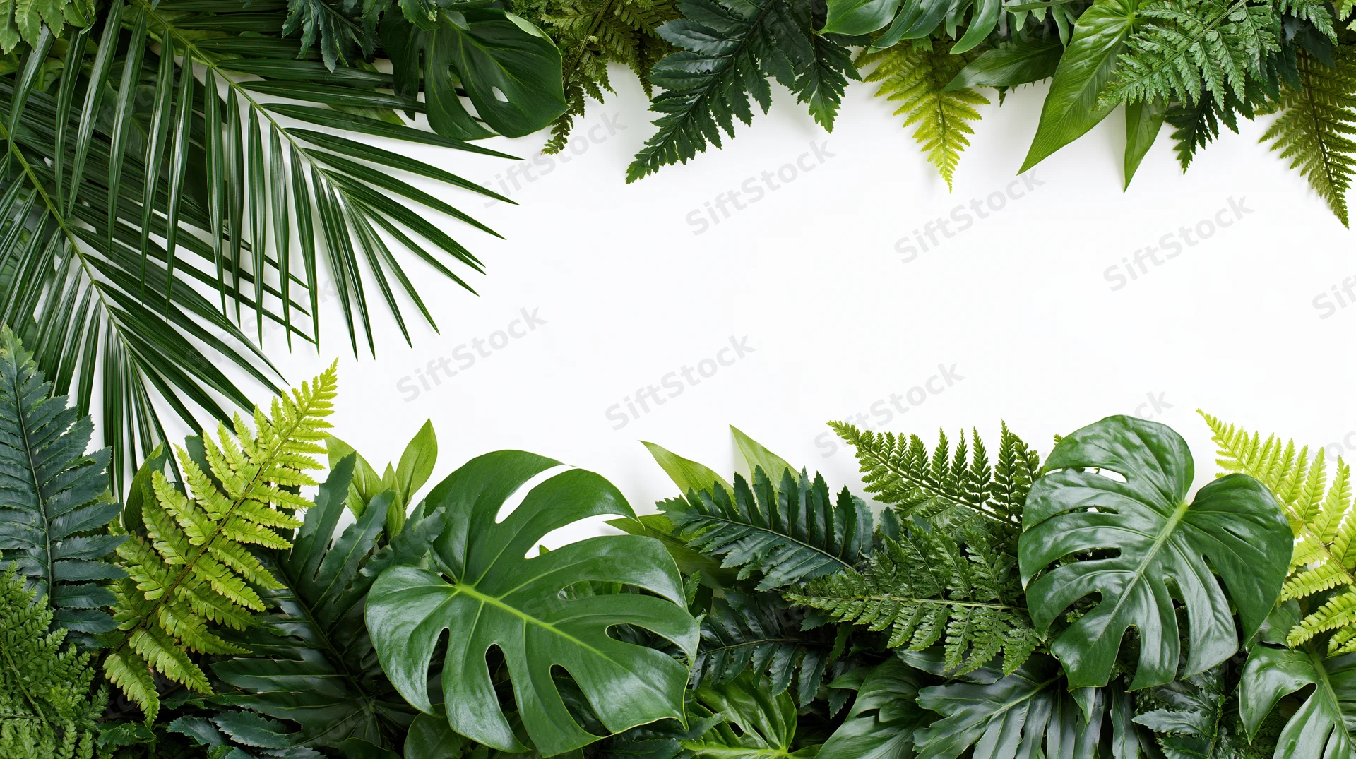 Tropical foliage arranged in a border frame with white copyspace in center