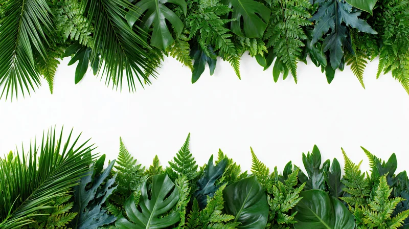Tropical foliage arranged in two horizontal borders framing white copyspace