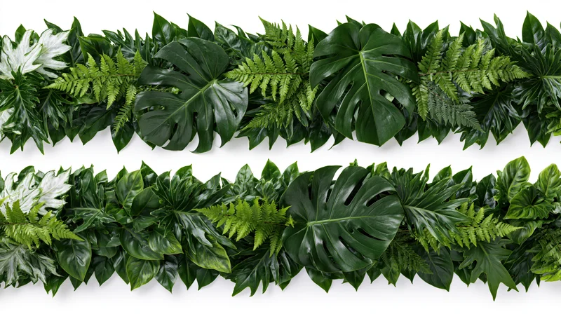 Two rows of dense tropical foliage including monstera and fern leaves arranged horizontally on white background