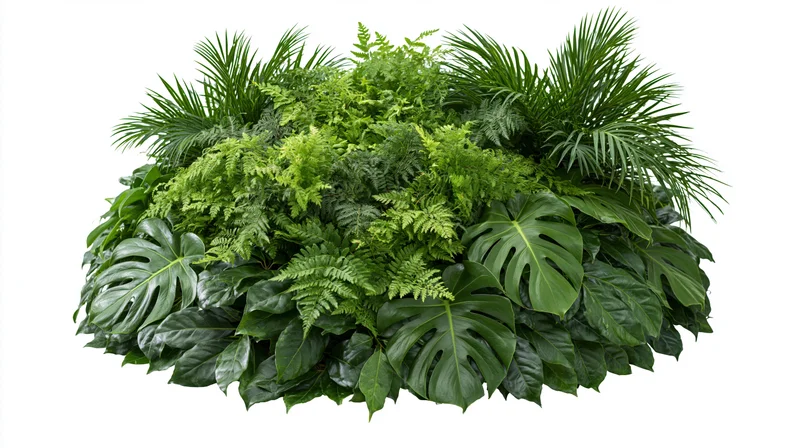 Dense cluster of tropical foliage arranged in a mound shape isolated on white
