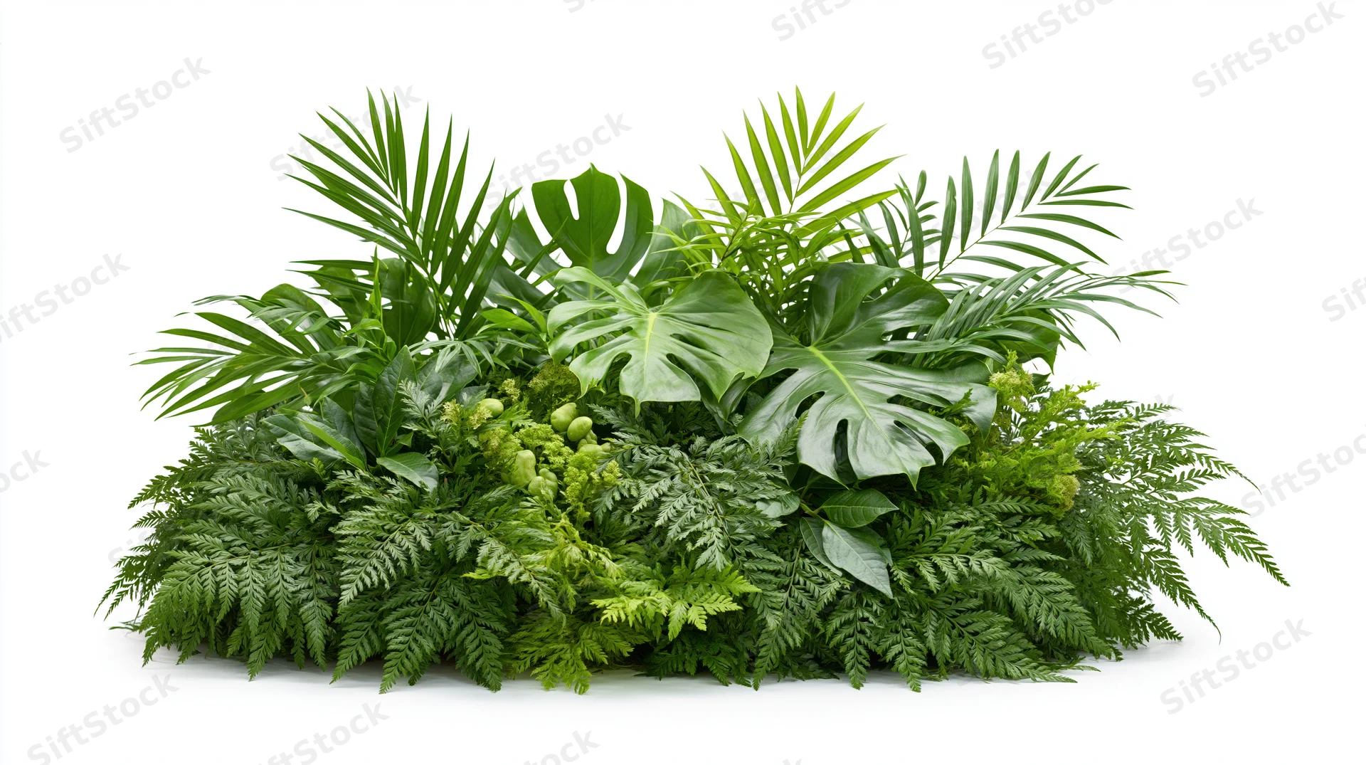 Dense mound of tropical foliage arranged with monstera, ferns and palm leaves on white background