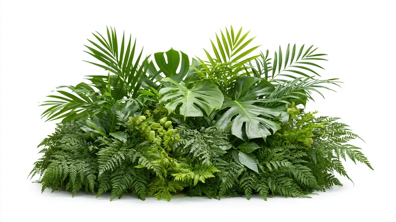 Dense mound of tropical foliage arranged with monstera, ferns and palm leaves on white background