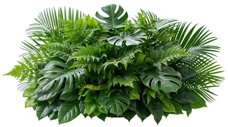 Dense cluster of tropical foliage arranged in a mound shape on white background