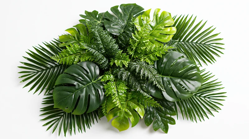 Dense tropical foliage arrangement with monstera and palm leaves on white background