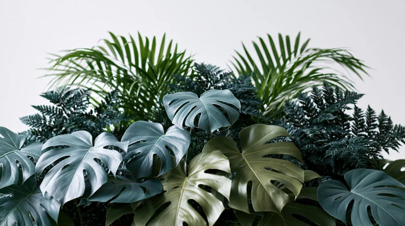 Dense tropical foliage arrangement with monstera, fern and palm leaves against a plain white background