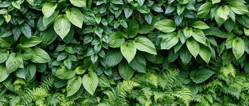 Dense vertical garden wall covered in mixed tropical foliage