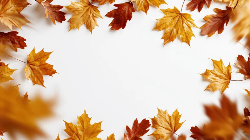 Dried autumn maple and oak leaves arranged in a border around white copyspace