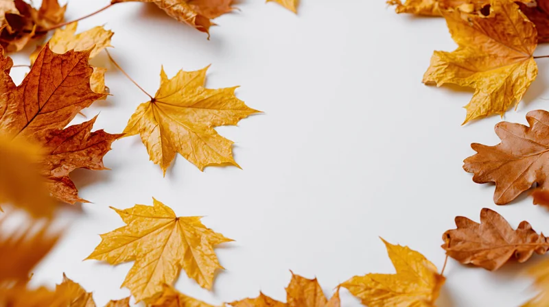 Dried maple and oak leaves arranged in a border around white copyspace