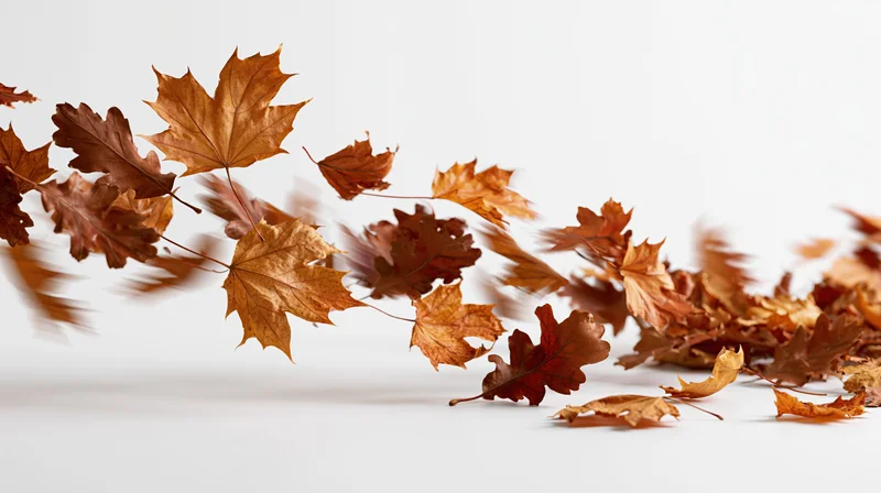 Dried maple and oak leaves swirling in motion against a white background