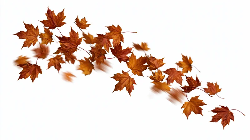 Dry maple leaves falling diagonally across a white background