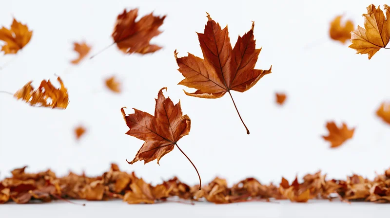 Dry maple leaves swirling in midair above a pile on white surface