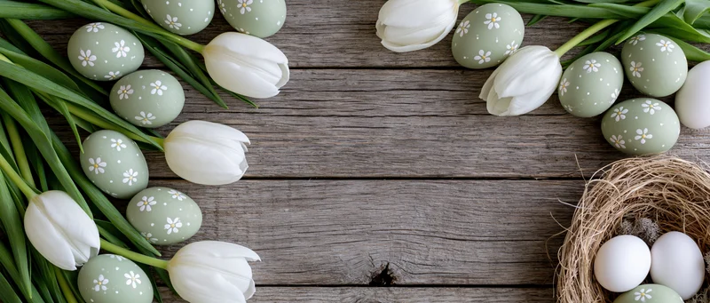 White tulips and painted green eggs arranged with a nest on a wooden table for easter decoration