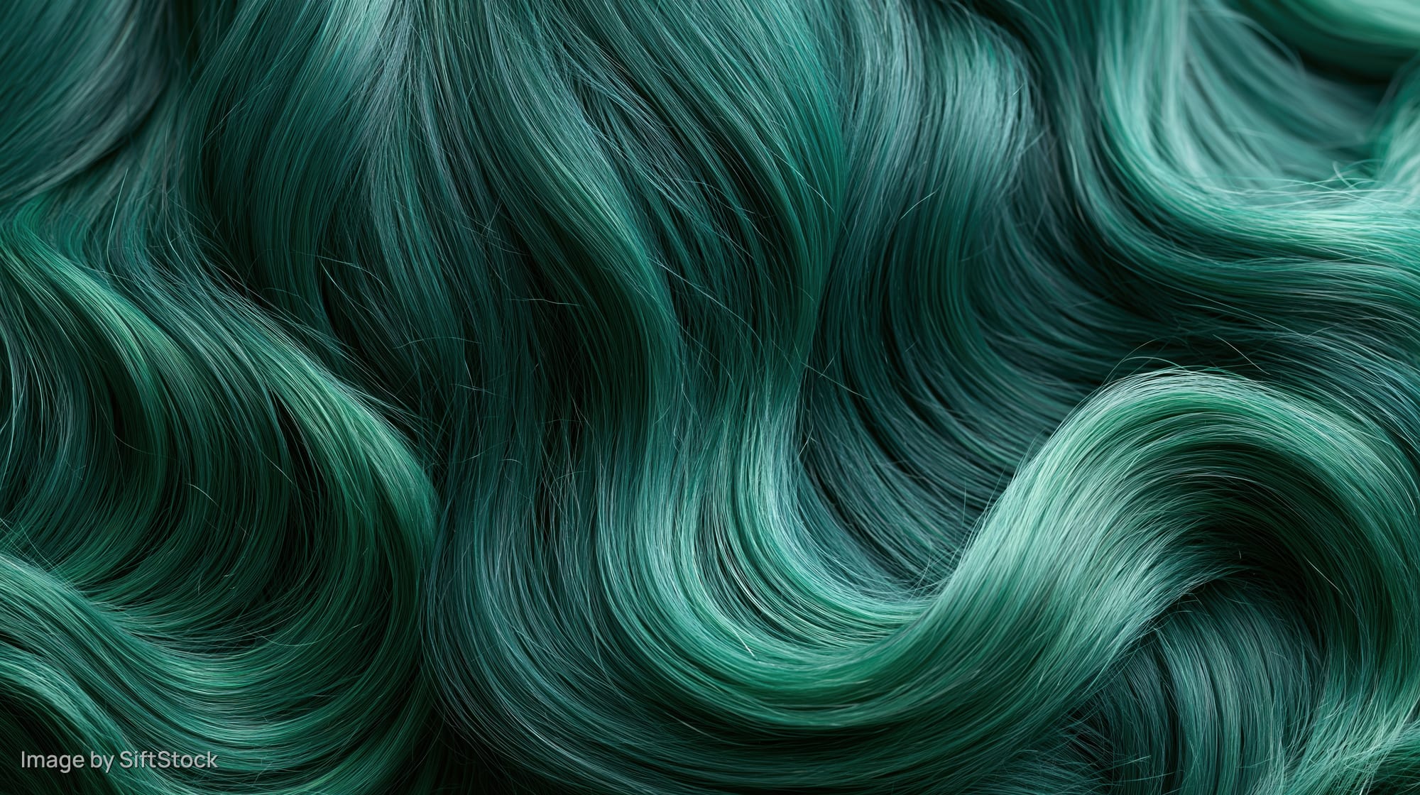 Close-up of emerald green dyed curly hair with glossy texture