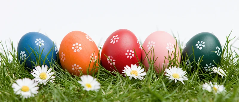 Five painted easter eggs in a row on green grass with white daisies