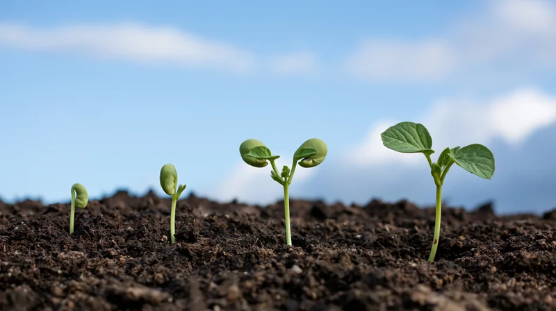 Five seedlings in progressive stages of growth emerging from dark soil under a blue sky