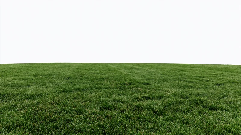 Neatly mowed green grass field under white sky with copyspace above