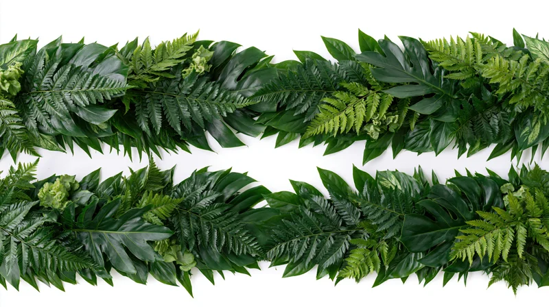 Two parallel rows of tropical foliage arranged flat on white background