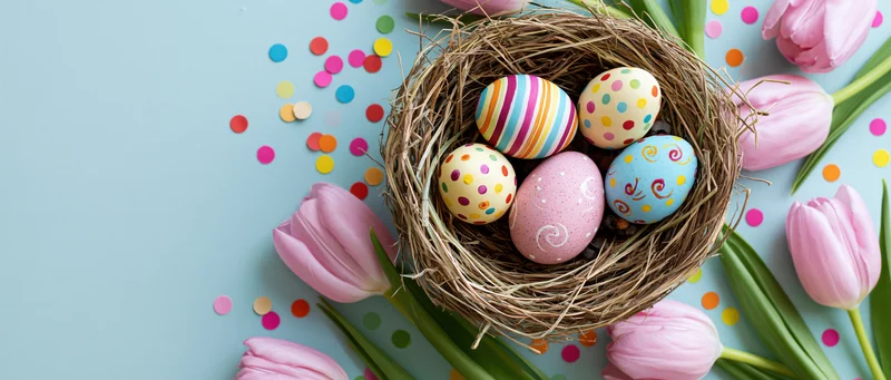 Decorated easter eggs in a bird's nest surrounded by pink tulips and confetti on a light blue background